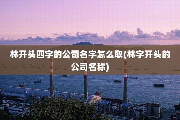 林开头四字的公司名字怎么取(林字开头的公司名称)