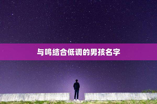 与鸣结合低调的男孩名字