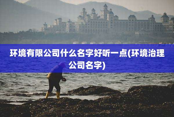 环境有限公司什么名字好听一点(环境治理公司名字)