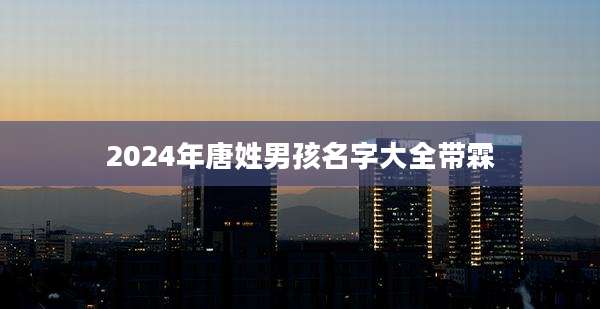 2024年唐姓男孩名字大全带霖