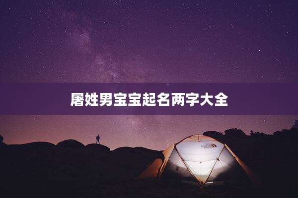 屠姓男宝宝起名两字大全