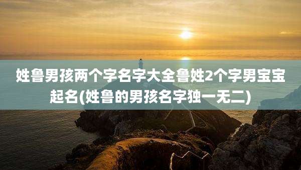 姓鲁男孩两个字名字大全鲁姓2个字男宝宝起名(姓鲁的男孩名字独一无二)