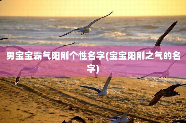 男宝宝霸气阳刚个性名字(宝宝阳刚之气的名字)