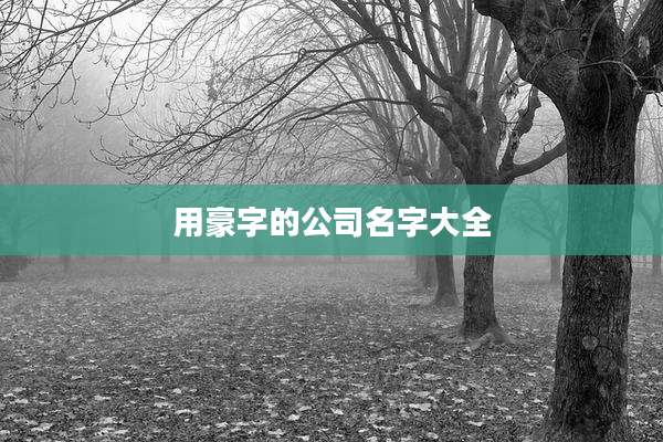 用豪字的公司名字大全