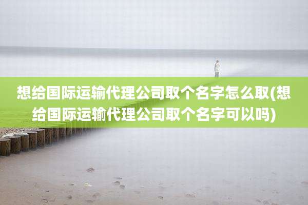 想给国际运输代理公司取个名字怎么取(想给国际运输代理公司取个名字可以吗)