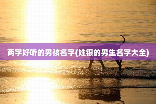 两字好听的男孩名字(姓银的男生名字大全)