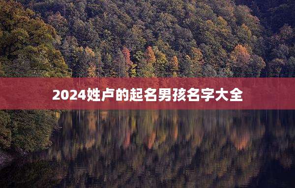 2024姓卢的起名男孩名字大全