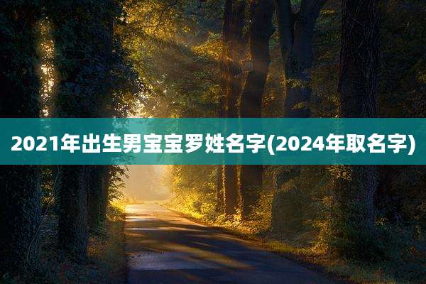 2021年出生男宝宝罗姓名字(2024年取名字)