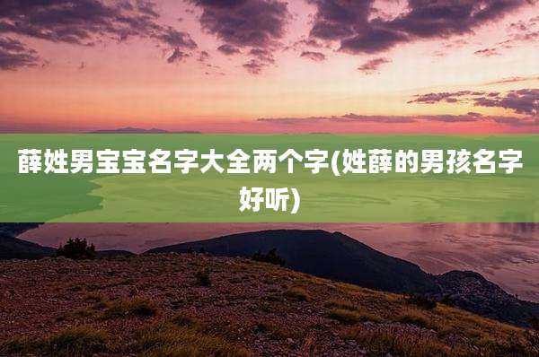 薛姓男宝宝名字大全两个字(姓薛的男孩名字好听)