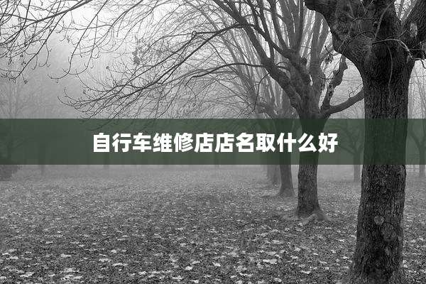 自行车维修店店名取什么好
