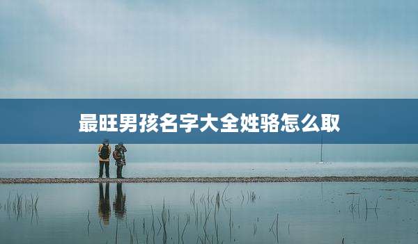 最旺男孩名字大全姓骆怎么取