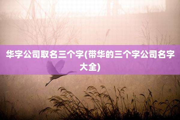 华字公司取名三个字(带华的三个字公司名字大全)