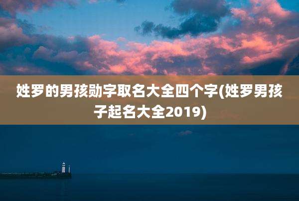 姓罗的男孩勋字取名大全四个字(姓罗男孩子起名大全2019)