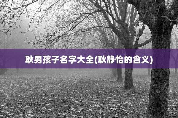 耿男孩子名字大全(耿静怡的含义)
