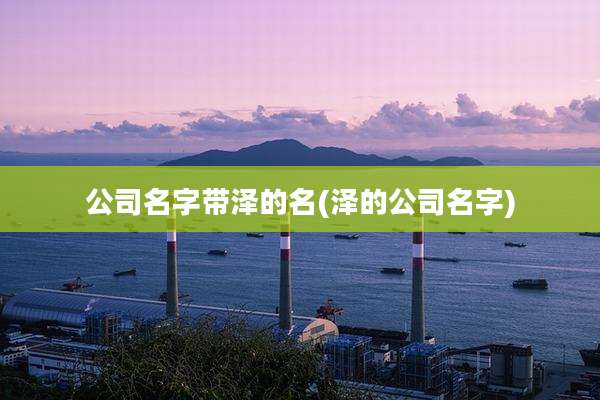 公司名字带泽的名(泽的公司名字)