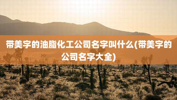 带美字的油脂化工公司名字叫什么(带美字的公司名字大全)