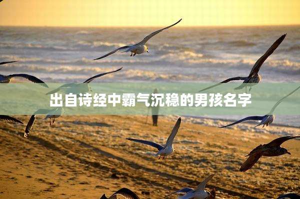 出自诗经中霸气沉稳的男孩名字