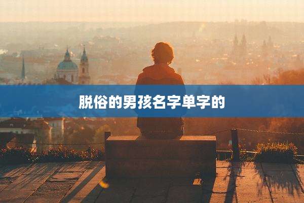脱俗的男孩名字单字的