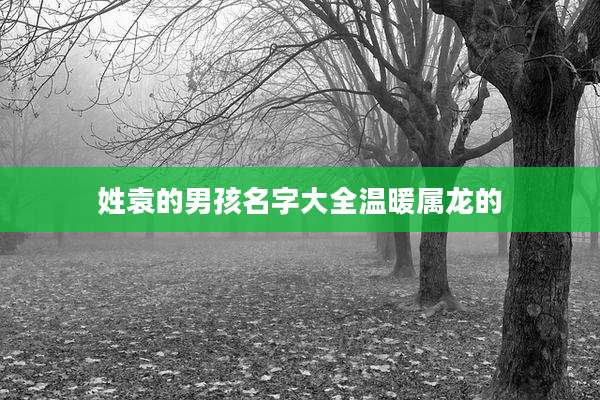 姓袁的男孩名字大全温暖属龙的