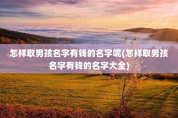 怎样取男孩名字有钱的名字呢(怎样取男孩名字有钱的名字大全)