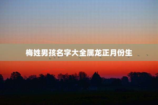 梅姓男孩名字大全属龙正月份生