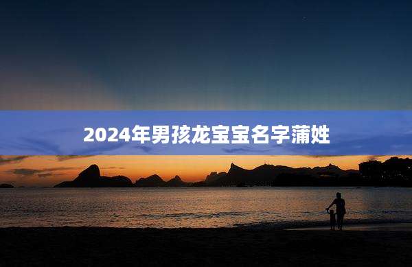 2024年男孩龙宝宝名字蒲姓