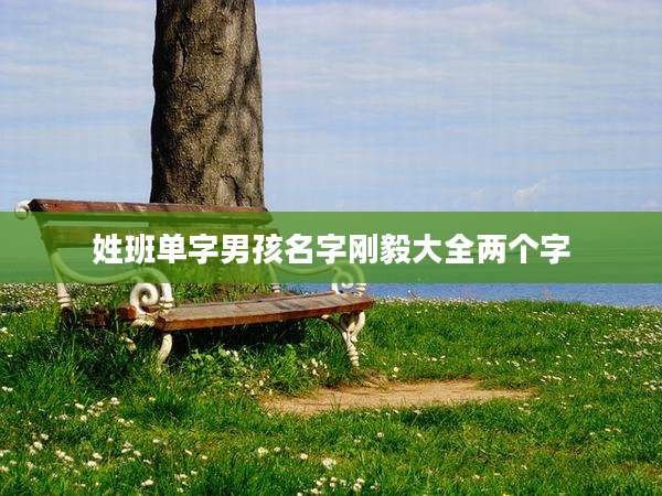 姓班单字男孩名字刚毅大全两个字