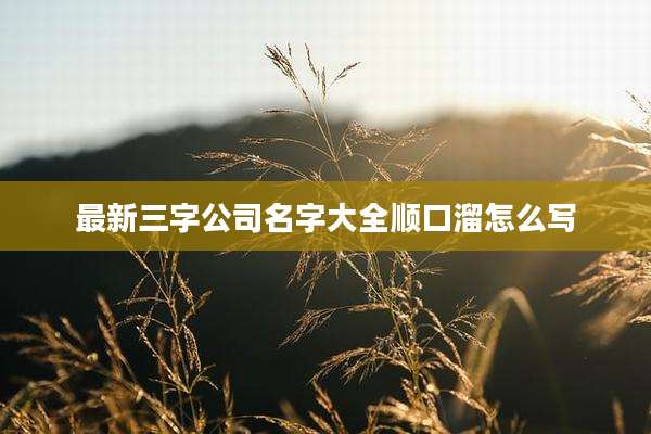 最新三字公司名字大全顺口溜怎么写