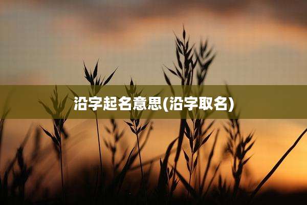 沿字起名意思(沿字取名)