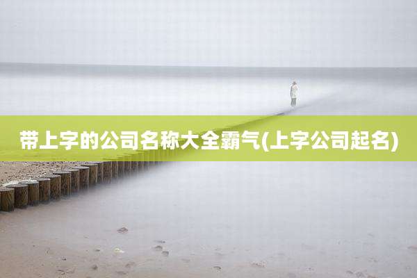 带上字的公司名称大全霸气(上字公司起名)