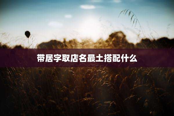 带居字取店名最土搭配什么