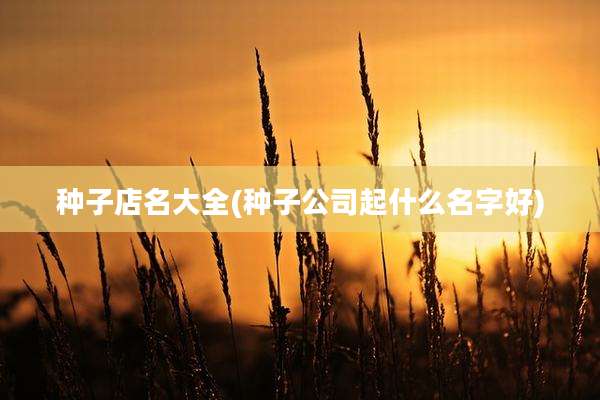 种子店名大全(种子公司起什么名字好)