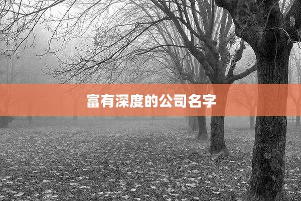 富有深度的公司名字