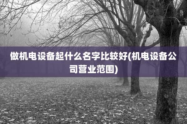 做机电设备起什么名字比较好(机电设备公司营业范围)