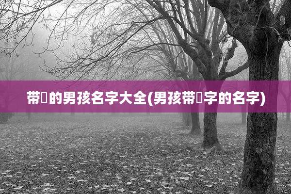 带烜的男孩名字大全(男孩带珵字的名字)