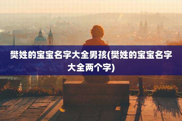 樊姓的宝宝名字大全男孩(樊姓的宝宝名字大全两个字)