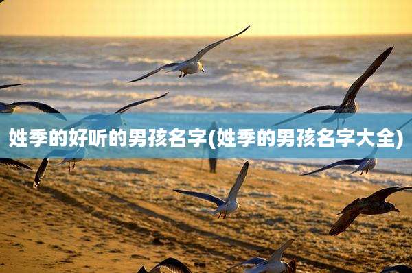姓季的好听的男孩名字(姓季的男孩名字大全)