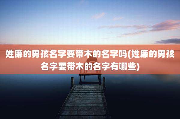 姓廉的男孩名字要带木的名字吗(姓廉的男孩名字要带木的名字有哪些)