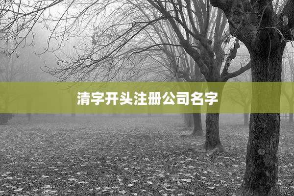 清字开头注册公司名字