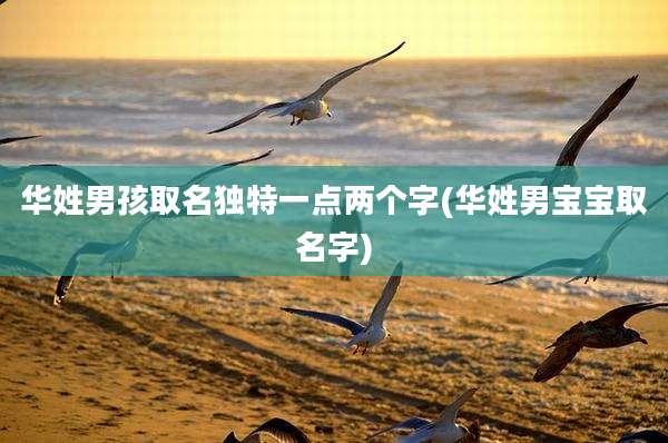 华姓男孩取名独特一点两个字(华姓男宝宝取名字)