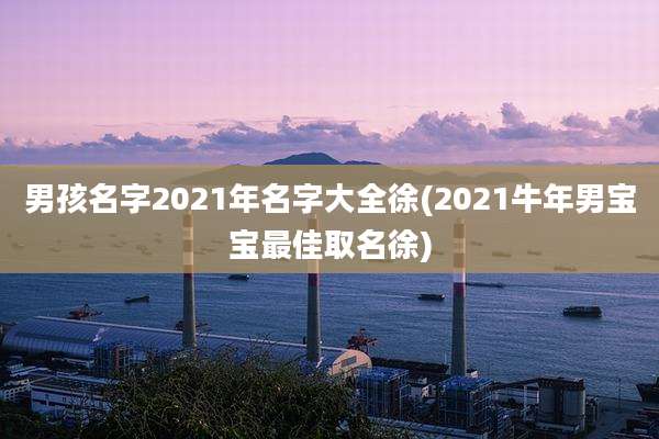 男孩名字2021年名字大全徐(2021牛年男宝宝最佳取名徐)