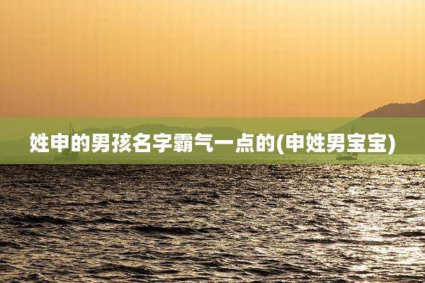 姓申的男孩名字霸气一点的(申姓男宝宝)