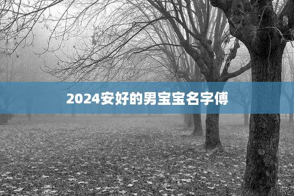 2024安好的男宝宝名字傅
