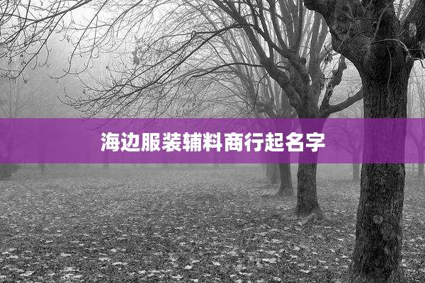 海边服装辅料商行起名字