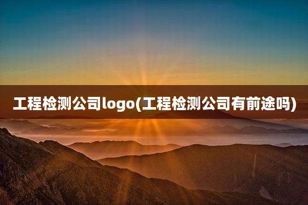工程检测公司logo(工程检测公司有前途吗)