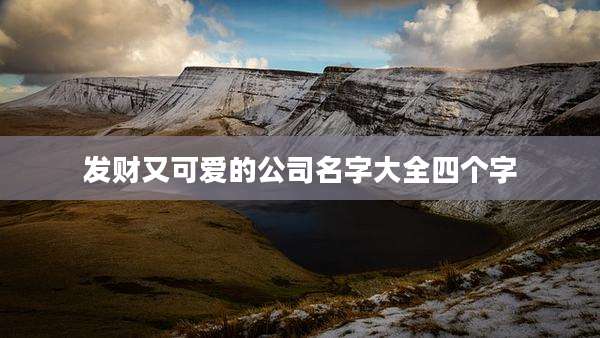 发财又可爱的公司名字大全四个字
