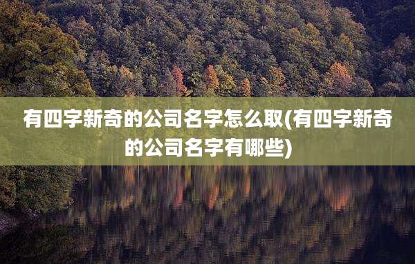 有四字新奇的公司名字怎么取(有四字新奇的公司名字有哪些)