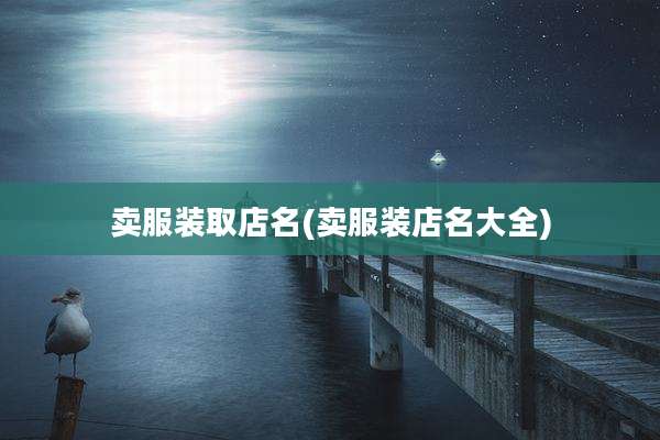 卖服装取店名(卖服装店名大全)