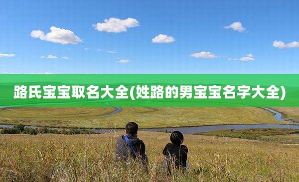 路氏宝宝取名大全(姓路的男宝宝名字大全)