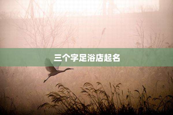 三个字足浴店起名